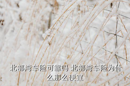 北部灣保險(xiǎn)公司