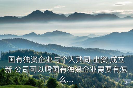 國有獨資企業(yè)與個人共同 出資 成立新 公司可以嗎國有獨資企業(yè)需要有怎么...