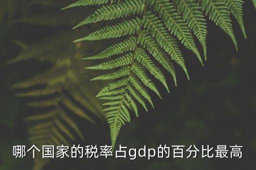 哪個(gè)國(guó)家的稅率占gdp的百分比最高