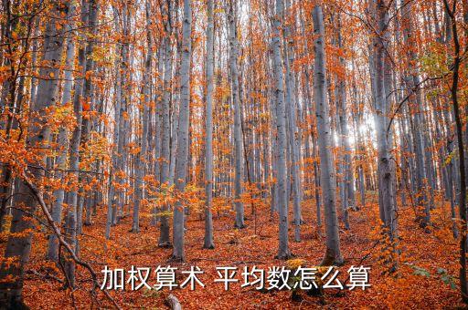  加權算術 平均數(shù)怎么算