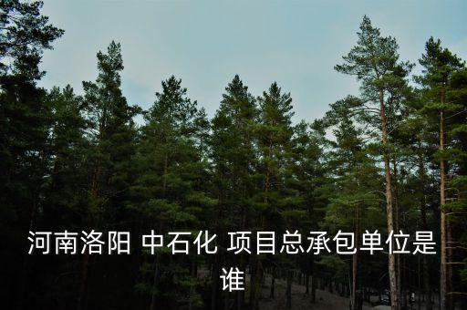 河南洛陽 中石化 項(xiàng)目總承包單位是誰