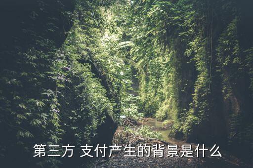  第三方 支付產(chǎn)生的背景是什么