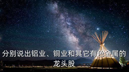 分別說出鋁業(yè)、銅業(yè)和其它有色金屬的龍頭股