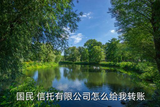  國(guó)民 信托有限公司怎么給我轉(zhuǎn)賬