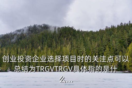 創(chuàng)業(yè)投資企業(yè)選擇項目時的關(guān)注點可以總結(jié)為TRGVTRGV具體指的是什么...