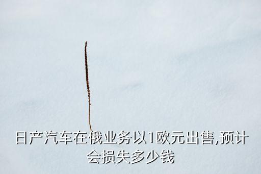 日本企業(yè)在俄羅斯投資,俄羅斯沒(méi)有日本的企業(yè)了嗎