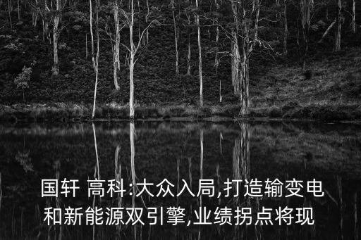  國軒 高科:大眾入局,打造輸變電和新能源雙引擎,業(yè)績拐點將現(xiàn)