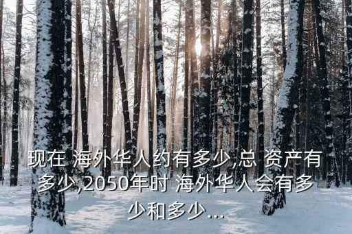 現(xiàn)在 海外華人約有多少,總 資產(chǎn)有多少,2050年時(shí) 海外華人會(huì)有多少和多少...