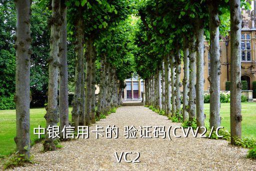 中銀信用卡的 驗證碼(CVV2/CVC2