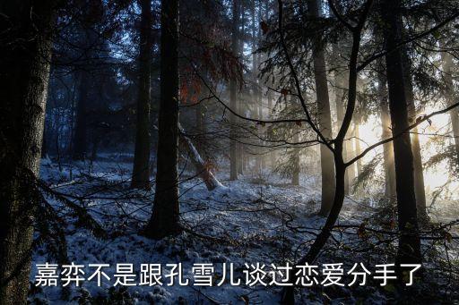 嘉弈不是跟孔雪兒談過(guò)戀愛(ài)分手了