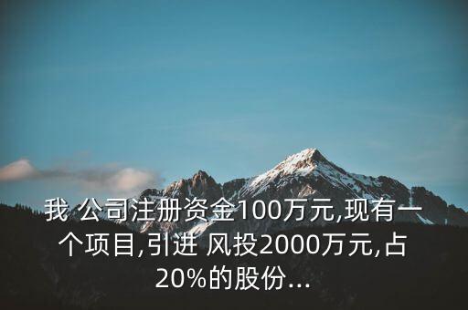 風(fēng)投公司投資占股比例,如何獲得風(fēng)投公司投資