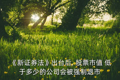 《新證券法》出臺(tái)后, 股票市值 低于多少的公司會(huì)被強(qiáng)制退市