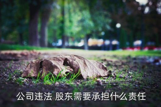  公司違法 股東需要承擔(dān)什么責(zé)任