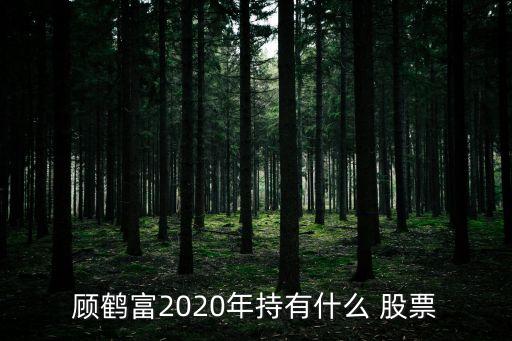 顧鶴富2020年持有什么 股票