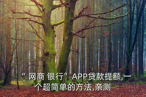 “ 網(wǎng)商 銀行”APP貸款提額,一個(gè)超簡單的方法,親測