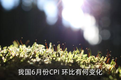 我國6月份CPI 環(huán)比有何變化