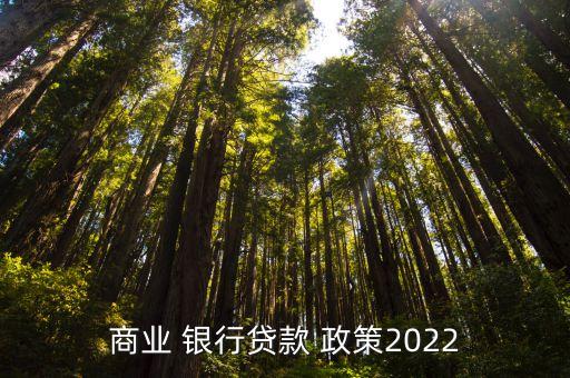 商業(yè) 銀行貸款 政策2022