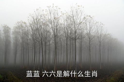 藍藍 六六是解什么生肖