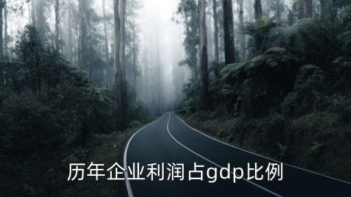 歷年企業(yè)利潤(rùn)占gdp比例