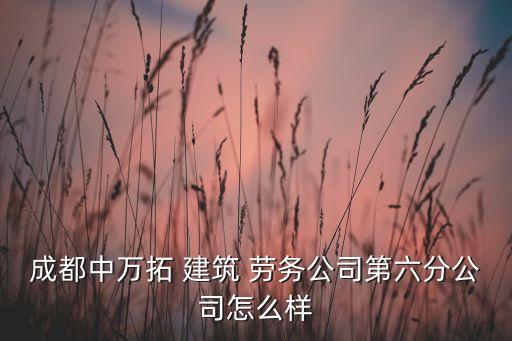 成都中萬(wàn)拓 建筑 勞務(wù)公司第六分公司怎么樣