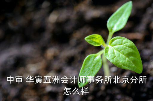 上海華寅投資有限公司,上海中見(jiàn)投資有限公司怎么樣