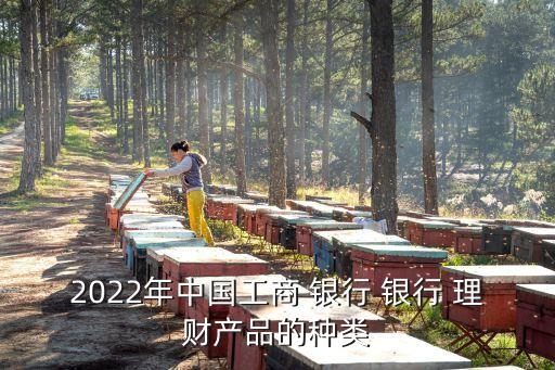 2022年中國工商 銀行 銀行 理財產(chǎn)品的種類