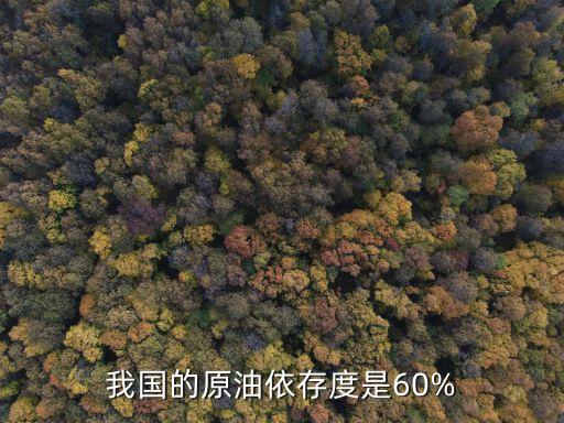 我國(guó)的原油依存度是60%