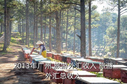 2013年廣州 旅游外匯收入 旅游外匯總收入