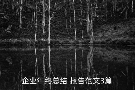 企業(yè)年終總結(jié) 報(bào)告范文3篇