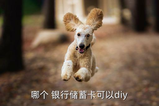 哪個(gè) 銀行儲(chǔ)蓄卡可以diy