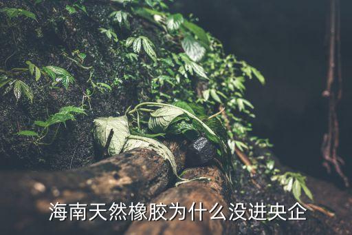  海南天然橡膠為什么沒(méi)進(jìn)央企