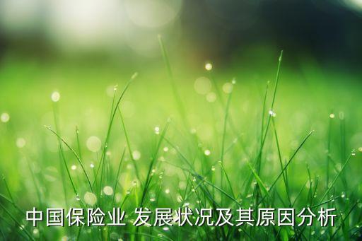 中國(guó)保險(xiǎn)業(yè) 發(fā)展?fàn)顩r及其原因分析