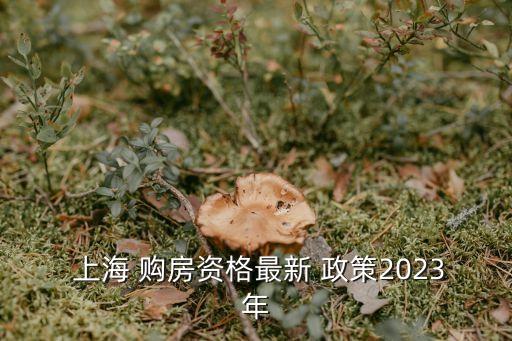  上海 購房資格最新 政策2023年