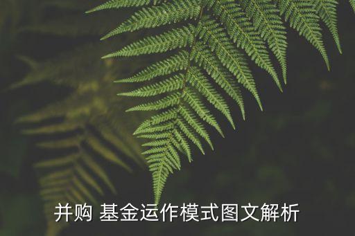 并購 基金運(yùn)作模式圖文解析