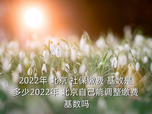 2022年 北京 社保繳費 基數(shù)是多少2022年 北京自己能調(diào)整繳費 基數(shù)嗎