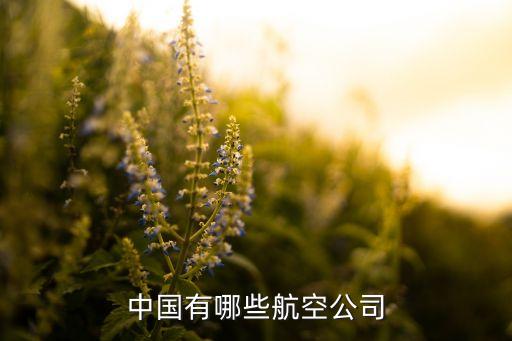 海航集團(tuán)企業(yè)性質(zhì),平安集團(tuán)企業(yè)性質(zhì)