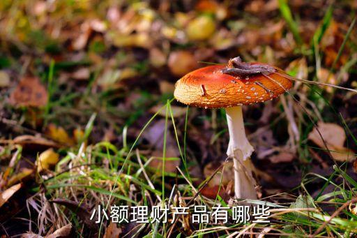 網(wǎng)上小額投資交易