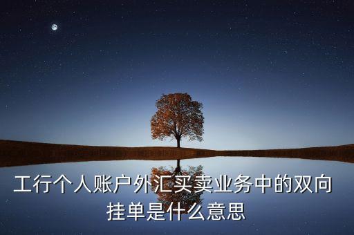 工行個人賬戶外匯買賣業(yè)務(wù)中的雙向 掛單是什么意思