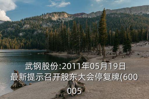  武鋼股份:2011年05月19日最新提示召開股東大會停復(fù)牌(600005