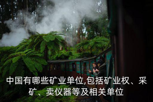 中國有哪些礦業(yè)單位,包括礦業(yè)權(quán)、采礦、賣儀器等及相關(guān)單位