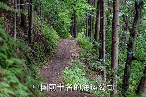 中國前十名的海運公司