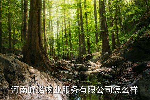 河南峰諾物業(yè)服務有限公司怎么樣