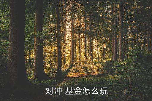  對(duì)沖 基金怎么玩