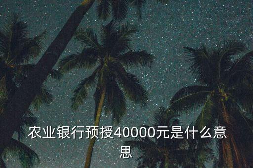  農業(yè)銀行預授40000元是什么意思