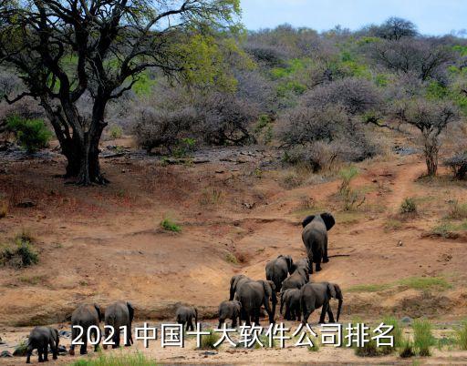 2021中國(guó)十大軟件公司排名