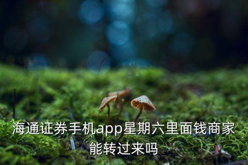 海通證券手機app星期六里面錢商家能轉(zhuǎn)過來嗎