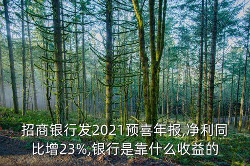 招商銀行發(fā)2021預喜年報,凈利同比增23%,銀行是靠什么收益的