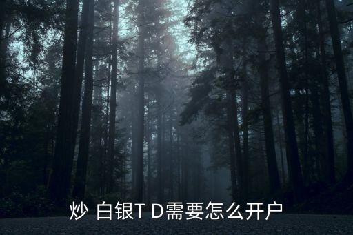 炒 白銀T D需要怎么開戶