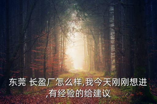 長(zhǎng)盈精密電子有限公司,自貢長(zhǎng)盈精密技術(shù)有限公司