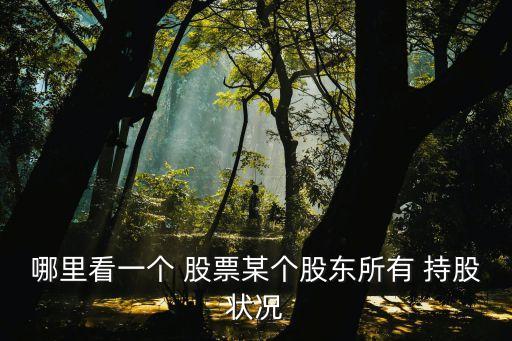 哪里看一個(gè) 股票某個(gè)股東所有 持股狀況